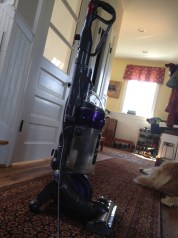 The Newbie - full view.